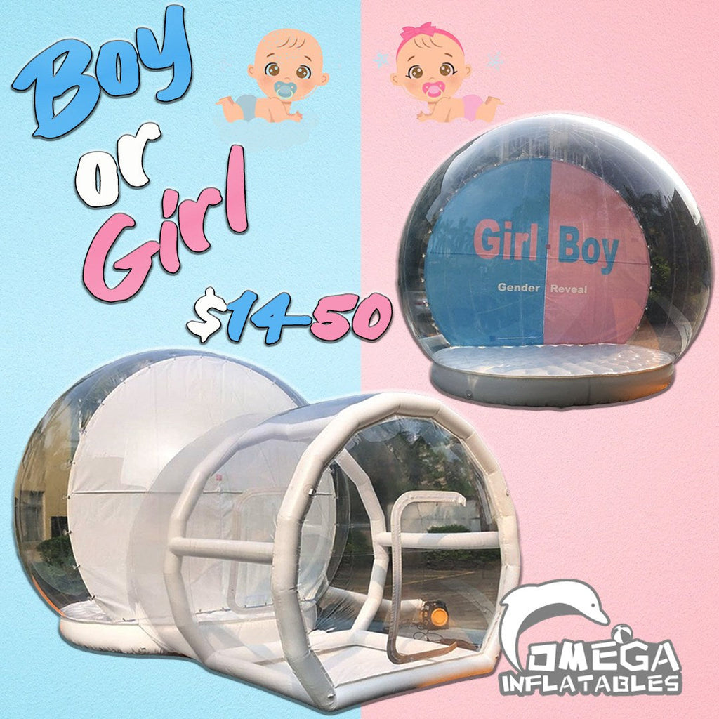 Boy or Girl Gender Reveal Inflatable Airblown Globe