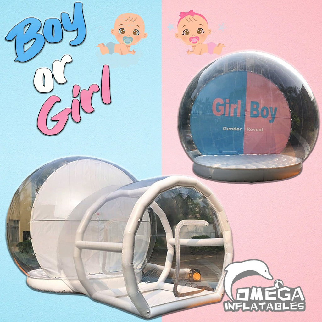 Boy or Girl Gender Reveal Inflatable Airblown Globe