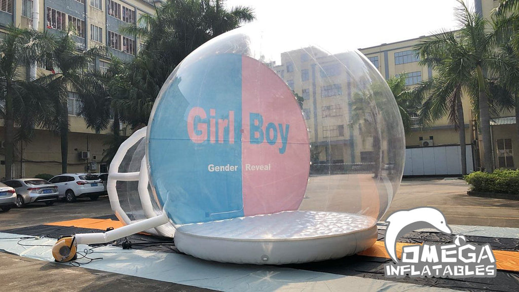 Boy or Girl Gender Reveal Inflatable Airblown Globe