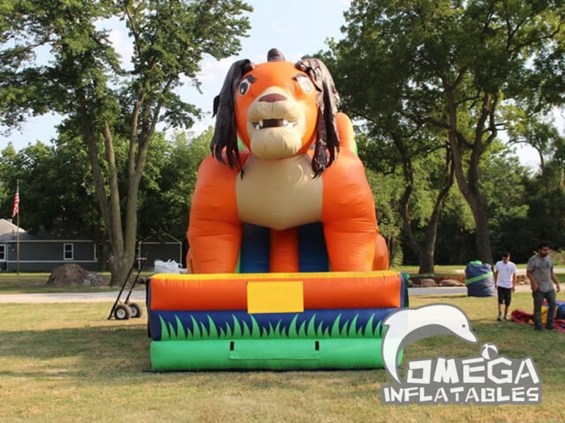 18FT Lion Dry Slide