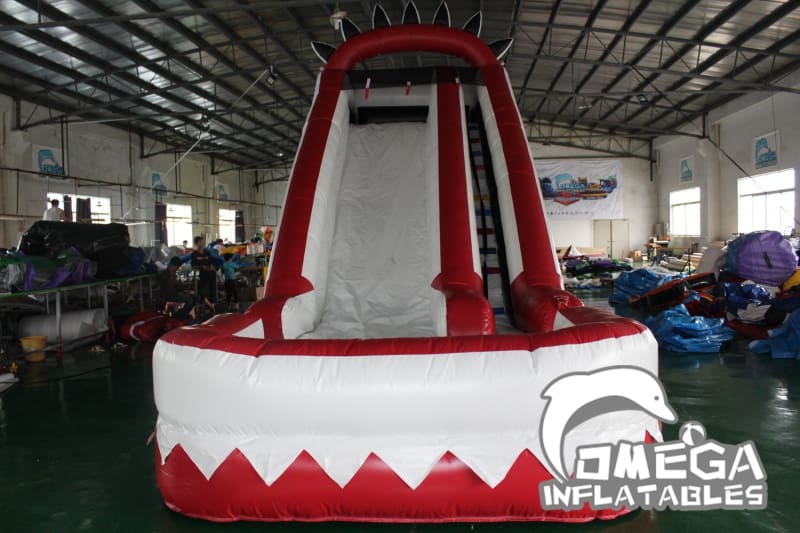 18FT Ragin Cajuns Themed Water Slide