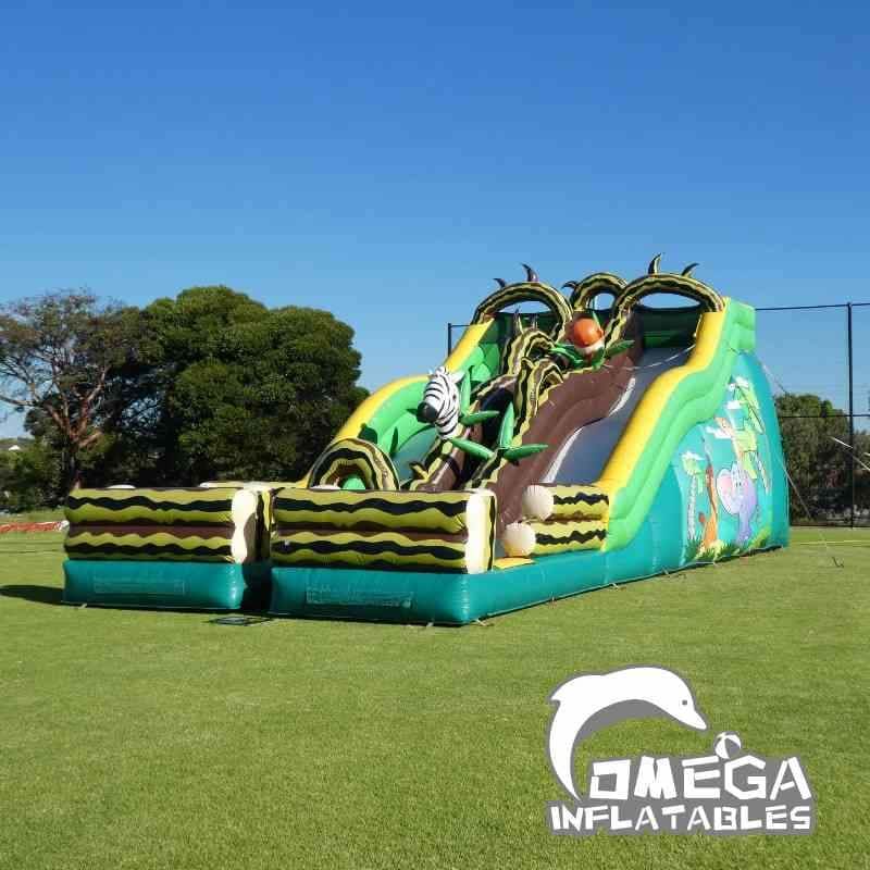 Double Lane Jungle Dry Slide